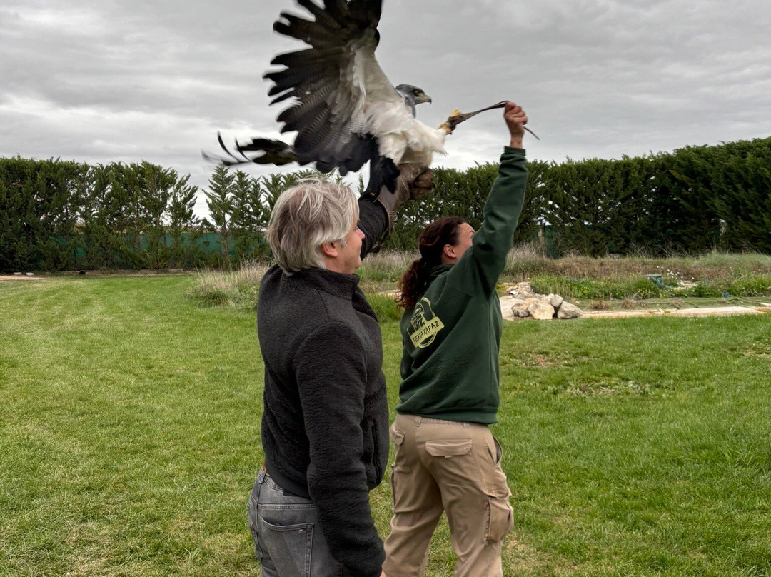 Tierra Rapaz-Calahorra必去景点