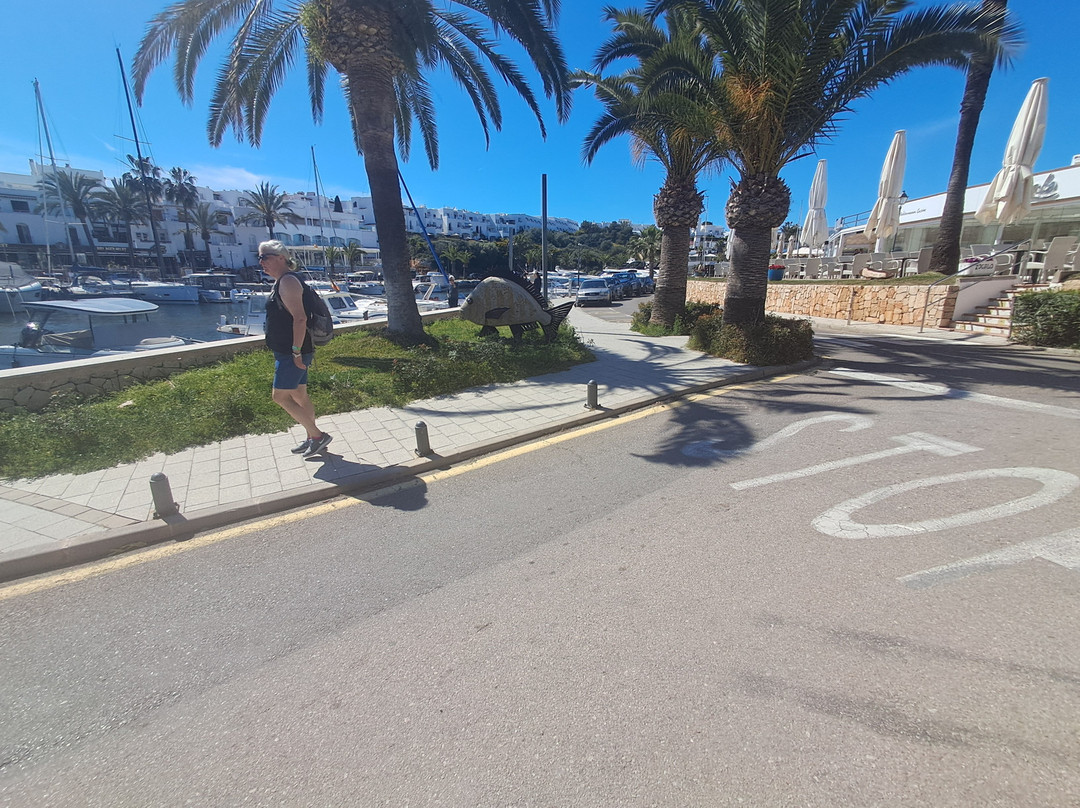 Marina De Cala D'Or-卡拉多尔必去景点