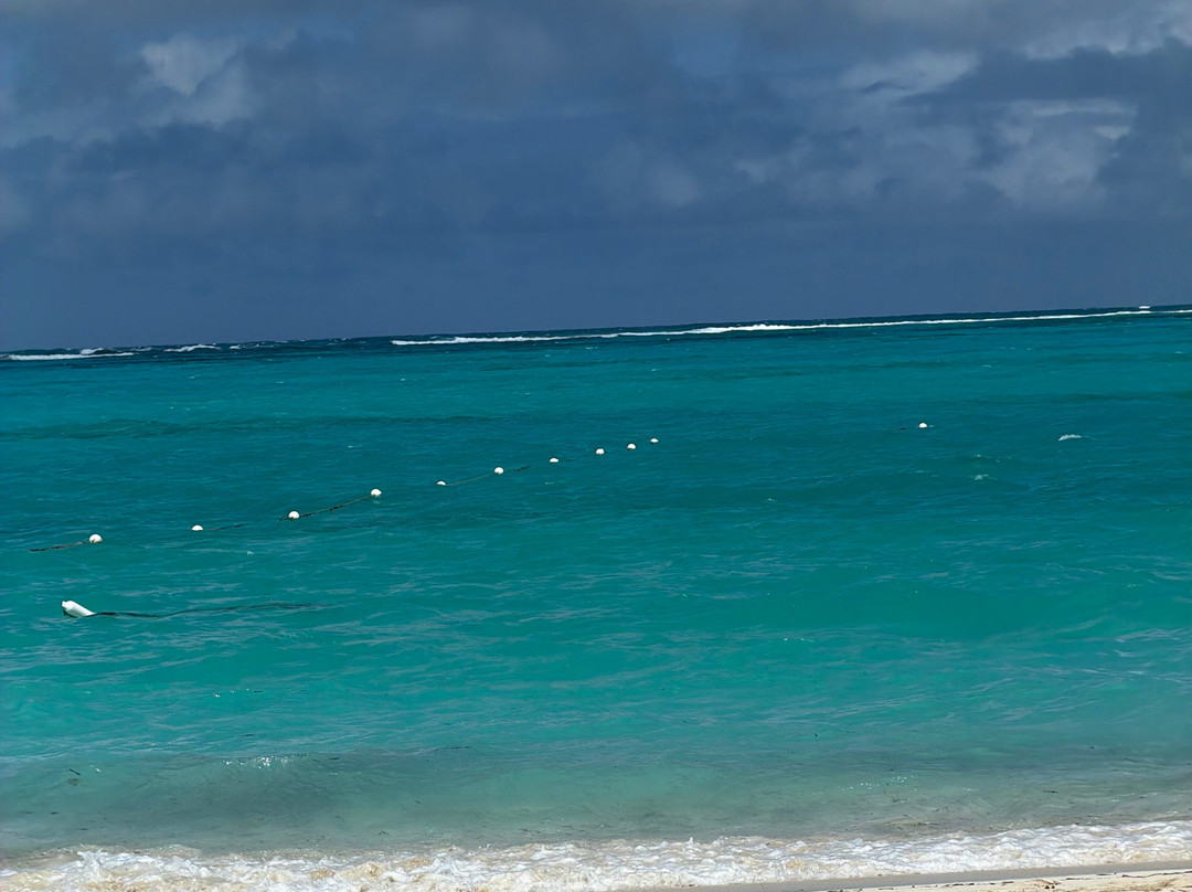 Alexandra Resort - All-inclusive主图