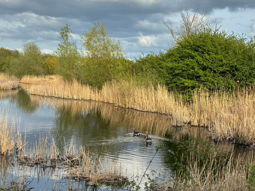 Schinkelbos-Aalsmeer必去景点