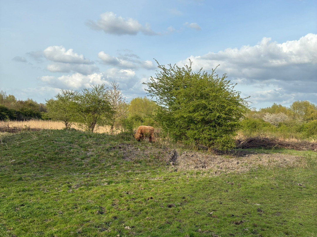 Schinkelbos-Aalsmeer必去景点