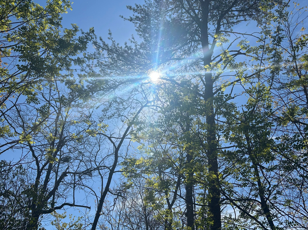 大雾山丘陵地带的Outland小木屋及套房主图