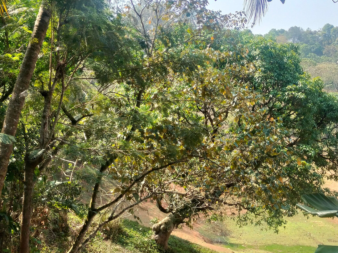 瓦亚纳德阿拉亚尔度假村主图