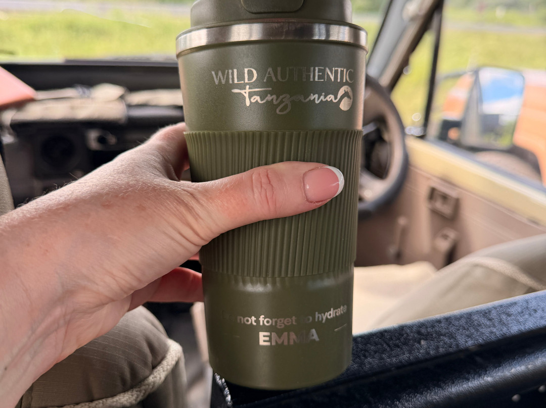 Wild Authentic Tanzania-阿鲁沙必去景点