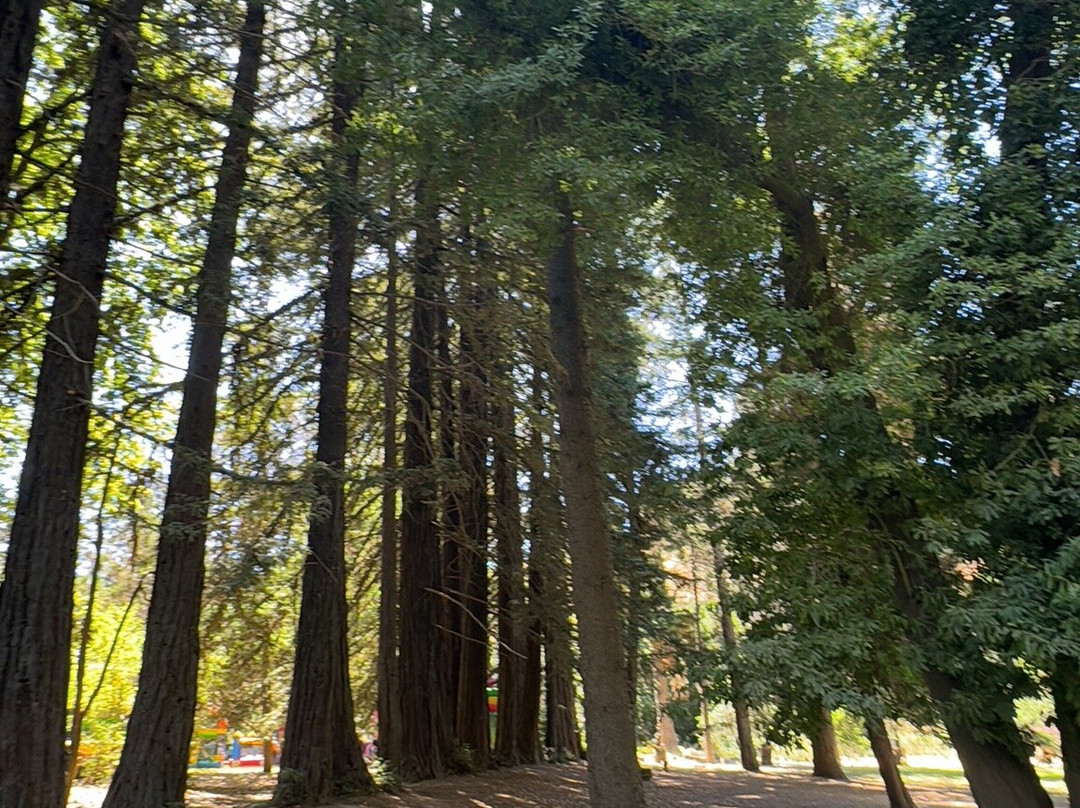 Jardín Botanico Nacional-比尼亚德尔马必去景点
