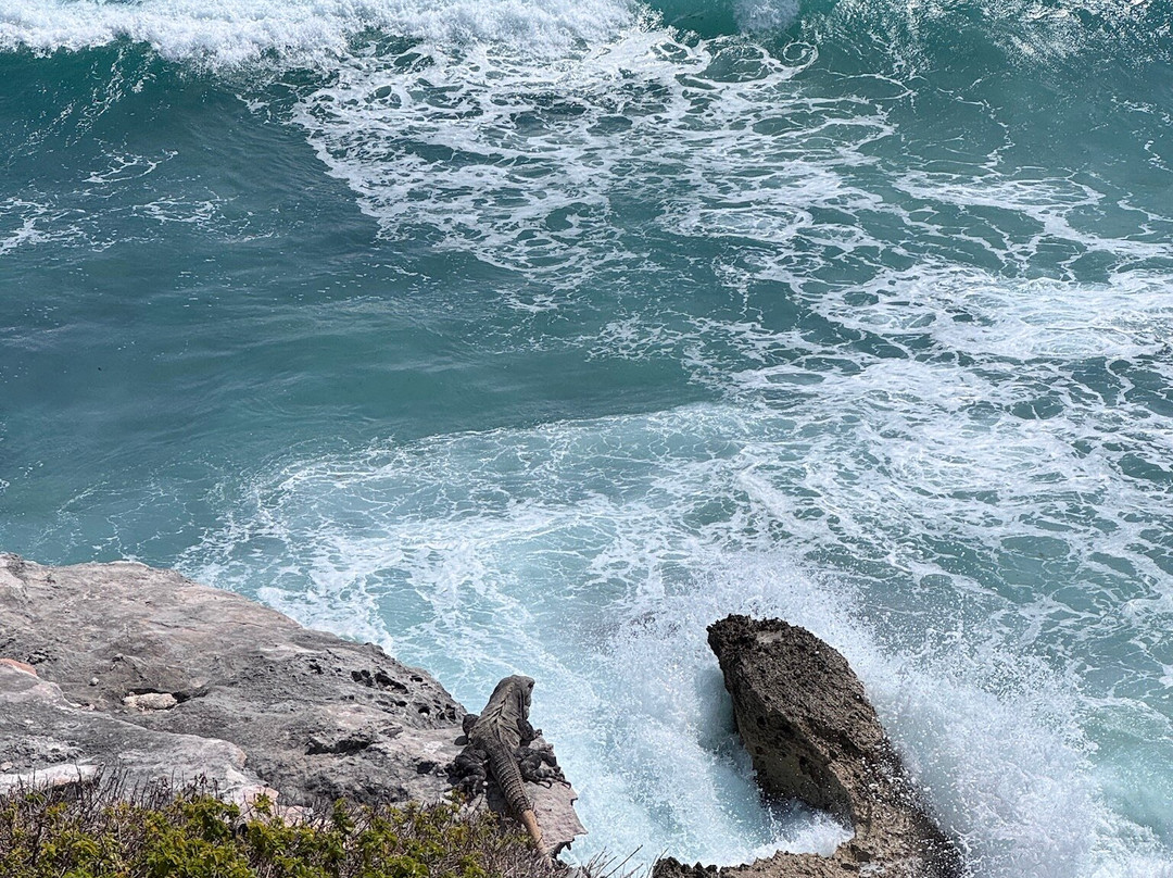 Punta Sur-女人岛必去景点