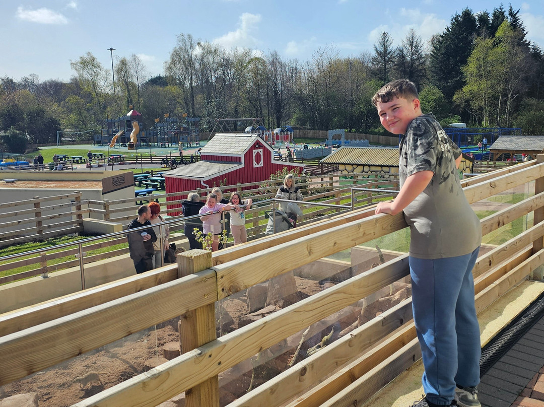 Dalscone Farm Fun-邓弗里斯必去景点