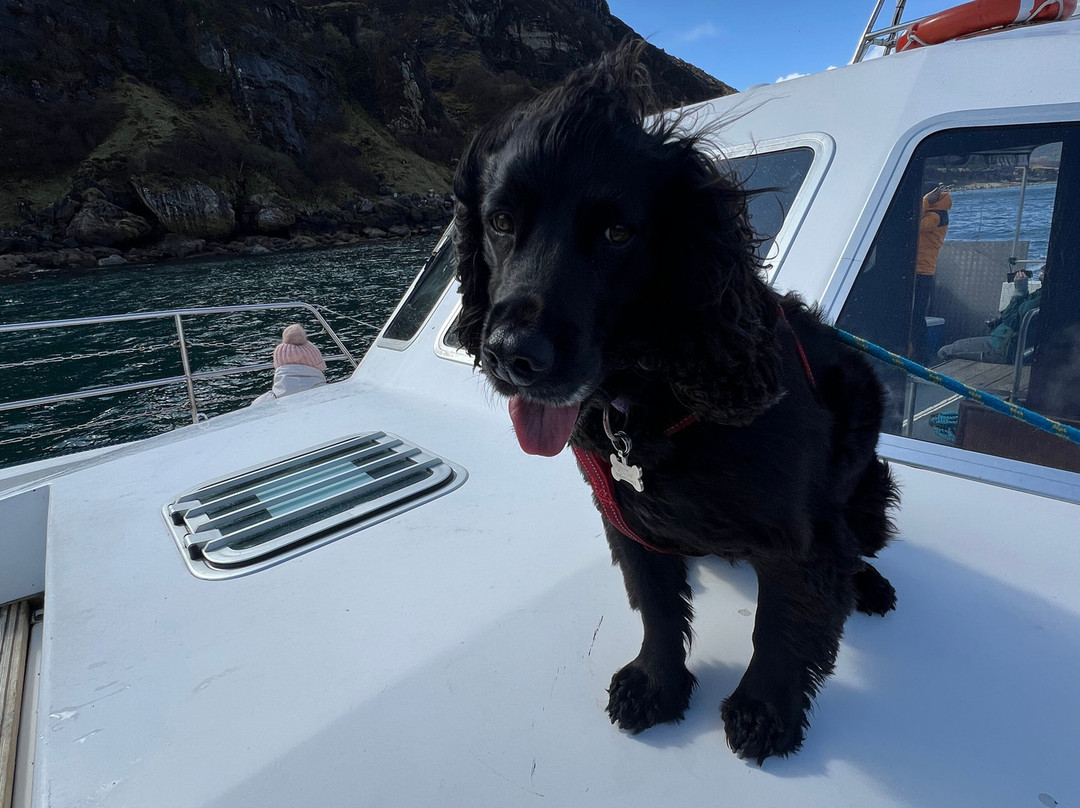 Stardust Boat Trips Portree-Portree必去景点