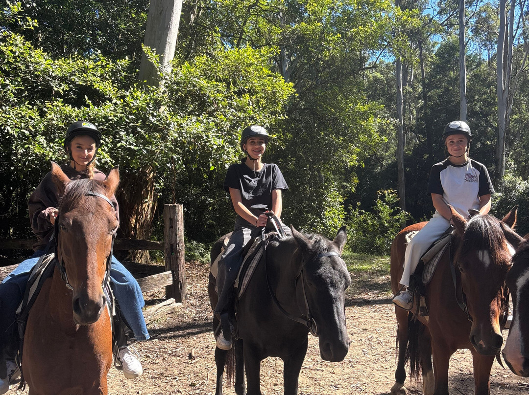 骏域谷-Glenworth Valley必去景点