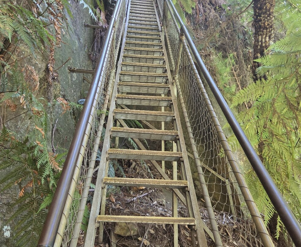 The Giant Stairway-卡通巴必去景点