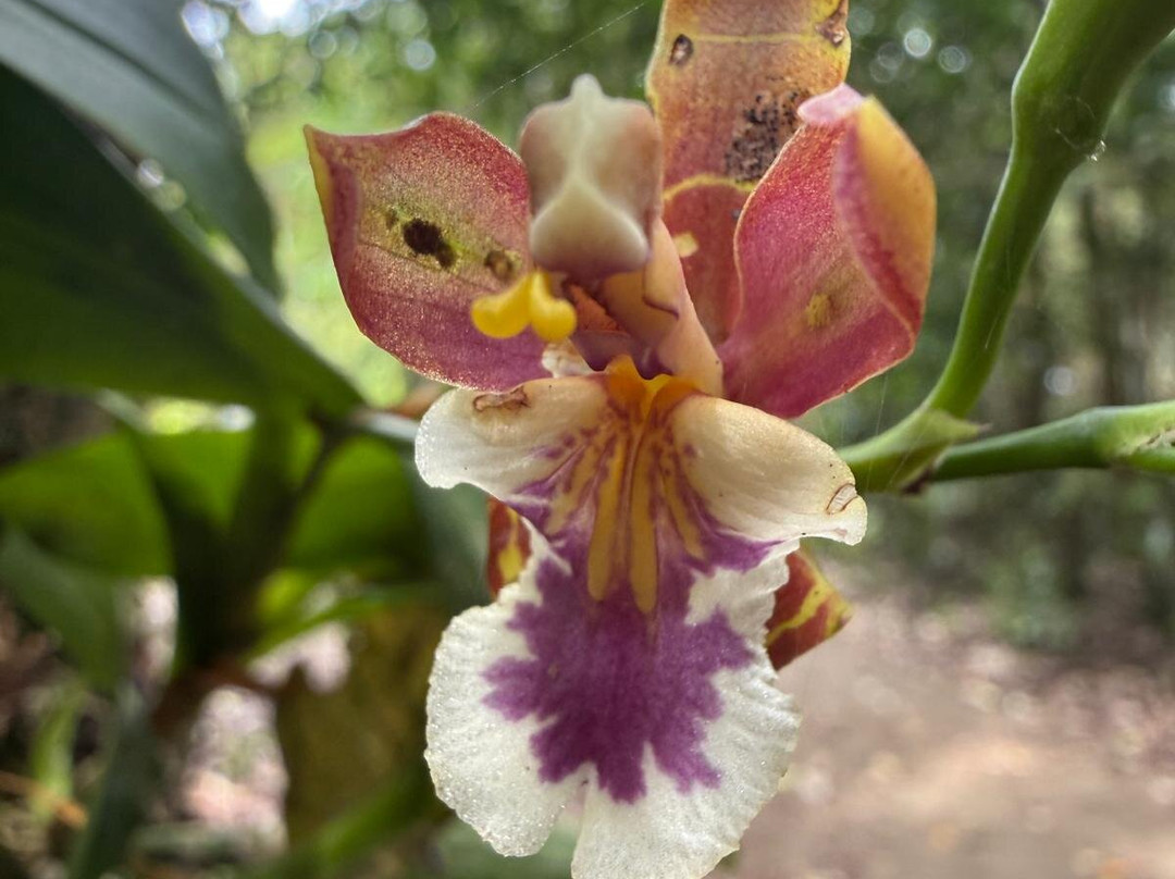 Surcos Tours-希门尼斯港必去景点