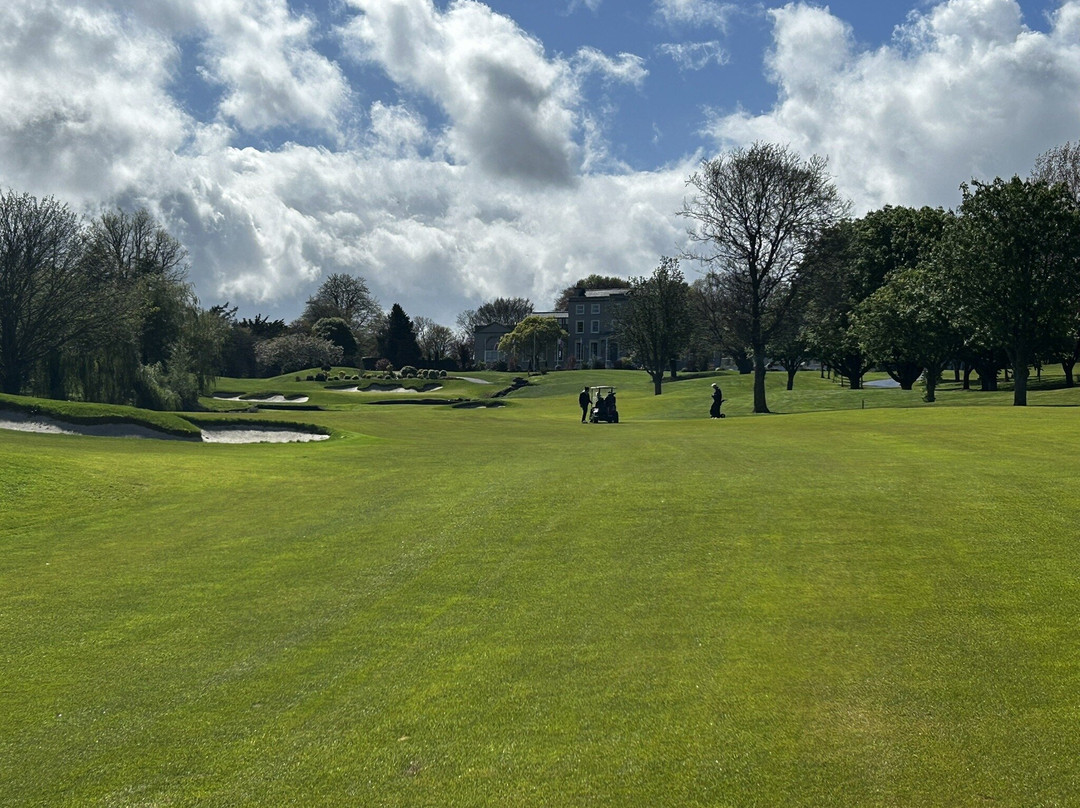 德鲁伊兹格林度假酒店主图