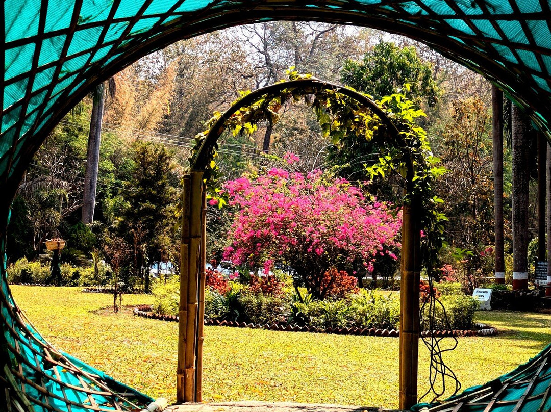 Waghai Botanical Garden-Saputara必去景点