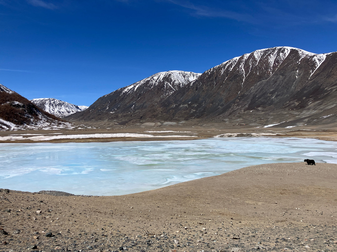 Discover Kazakh Nomads LLC-Olgiy必去景点