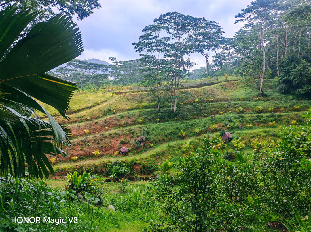 Vallée Des Fruits-大安塞区必去景点