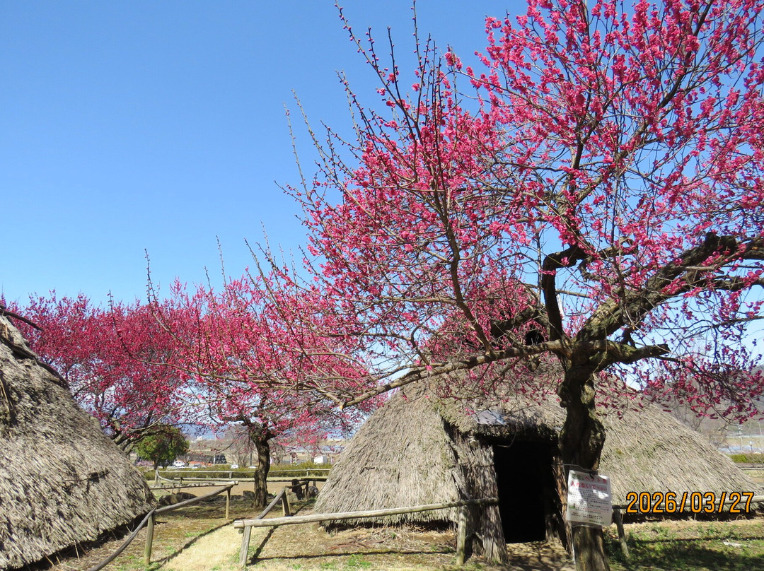 Mori Shogunzuka Museum Chikuma City-千曲市必去景点
