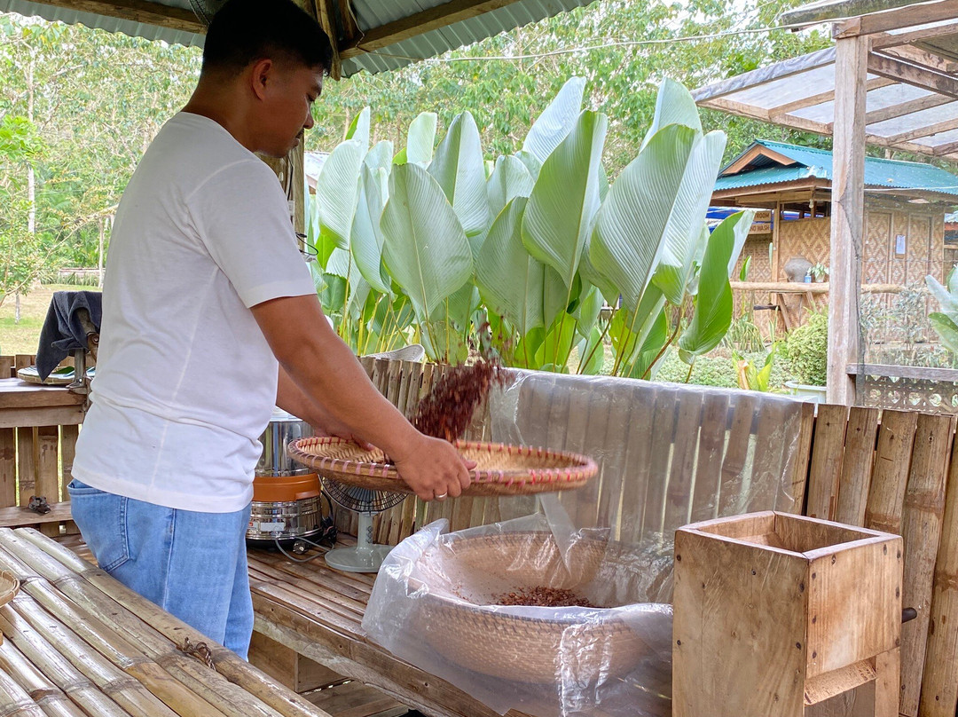 Bohol Chocolate Farm-Sagbayan必去景点