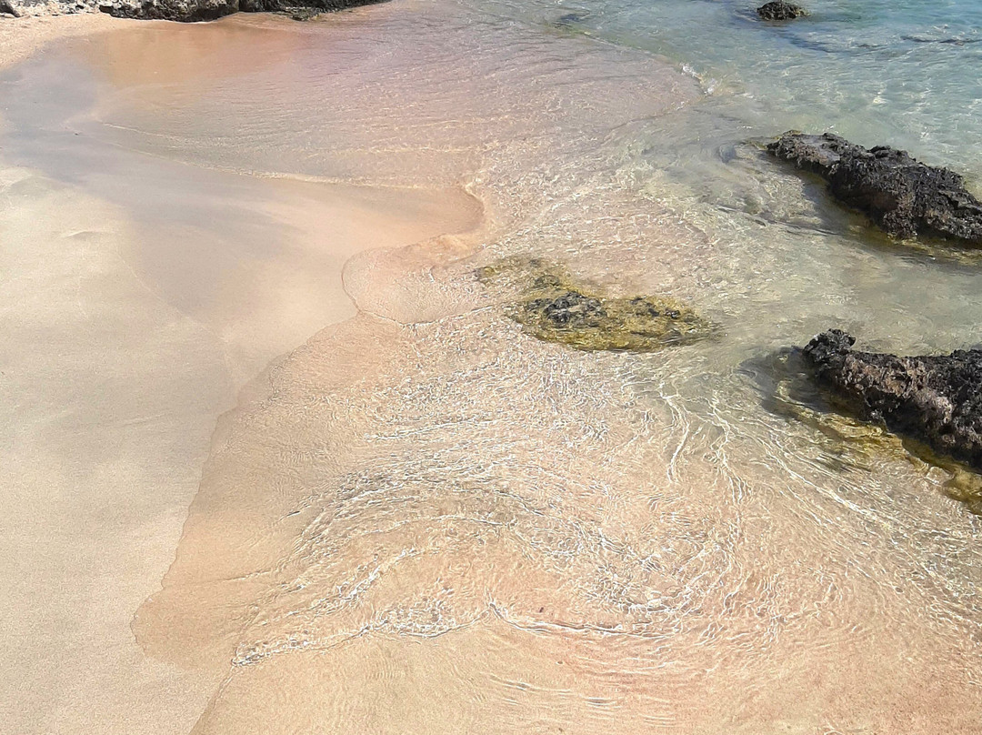 Elafonissi Beach-拉格尼西必去景点