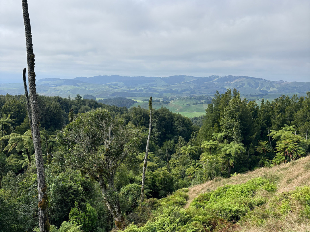Real  Native  -  Walking Retreat-Te Awamutu必去景点