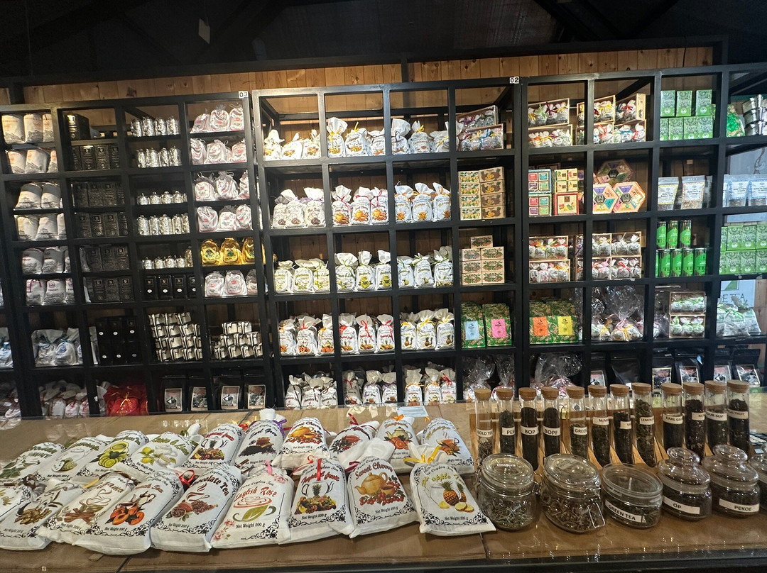 Pilimathalawa Tea Factory-Pilimathalawa必去景点