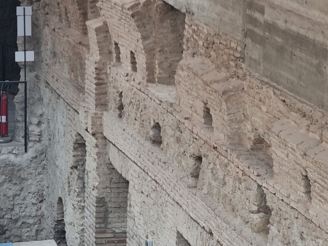 Museo Arqueologico los Baños-Alhama de Murcia必去景点