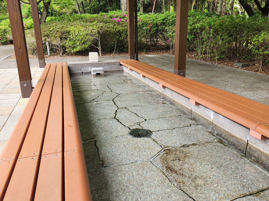 Mine Onsen Daifunto Park-河津町必去景点