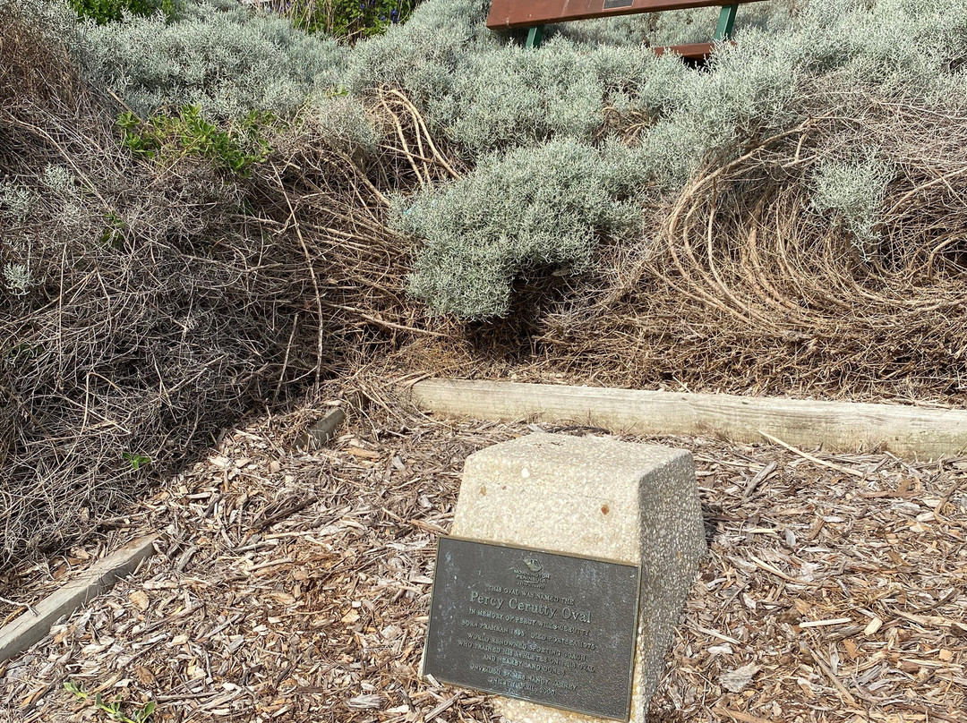 Percy Cerutty Oval (portsea Reserve)-波特西必去景点