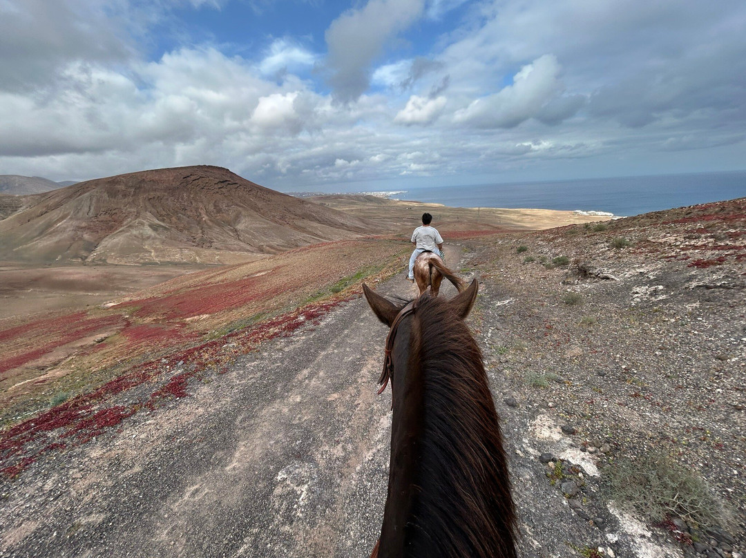 Lanzarote a Caballo-兰萨罗特必去景点