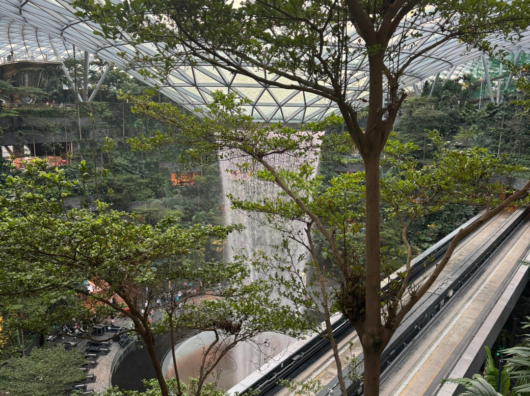 Jewel Changi Airport-新加坡必去景点