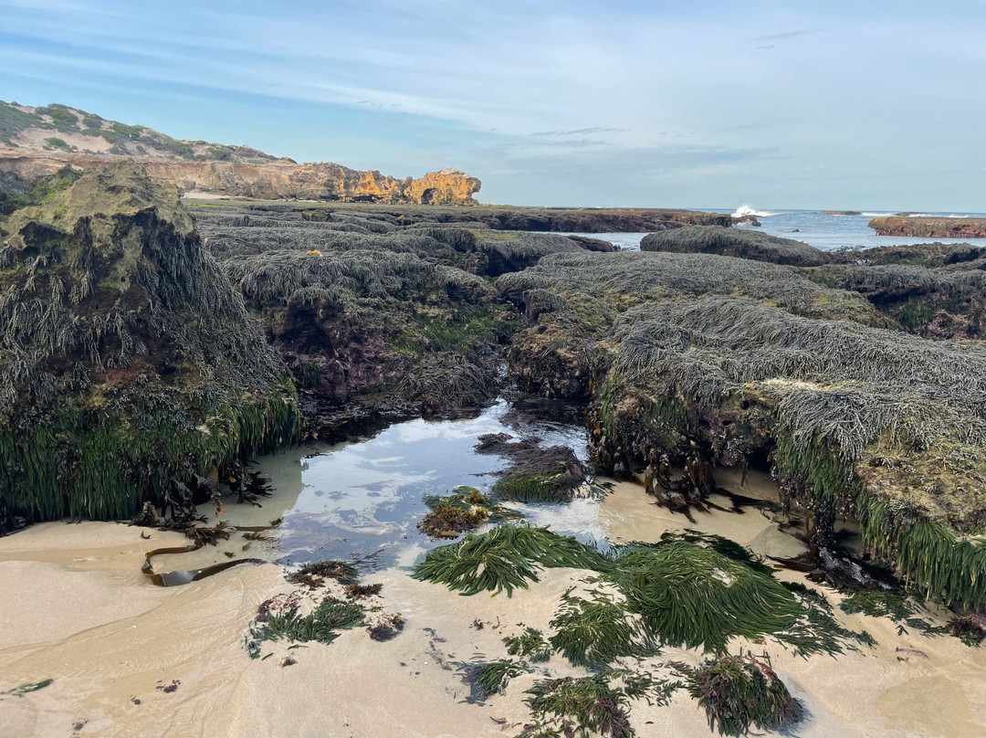 Bridgewater Bay-Blairgowrie必去景点