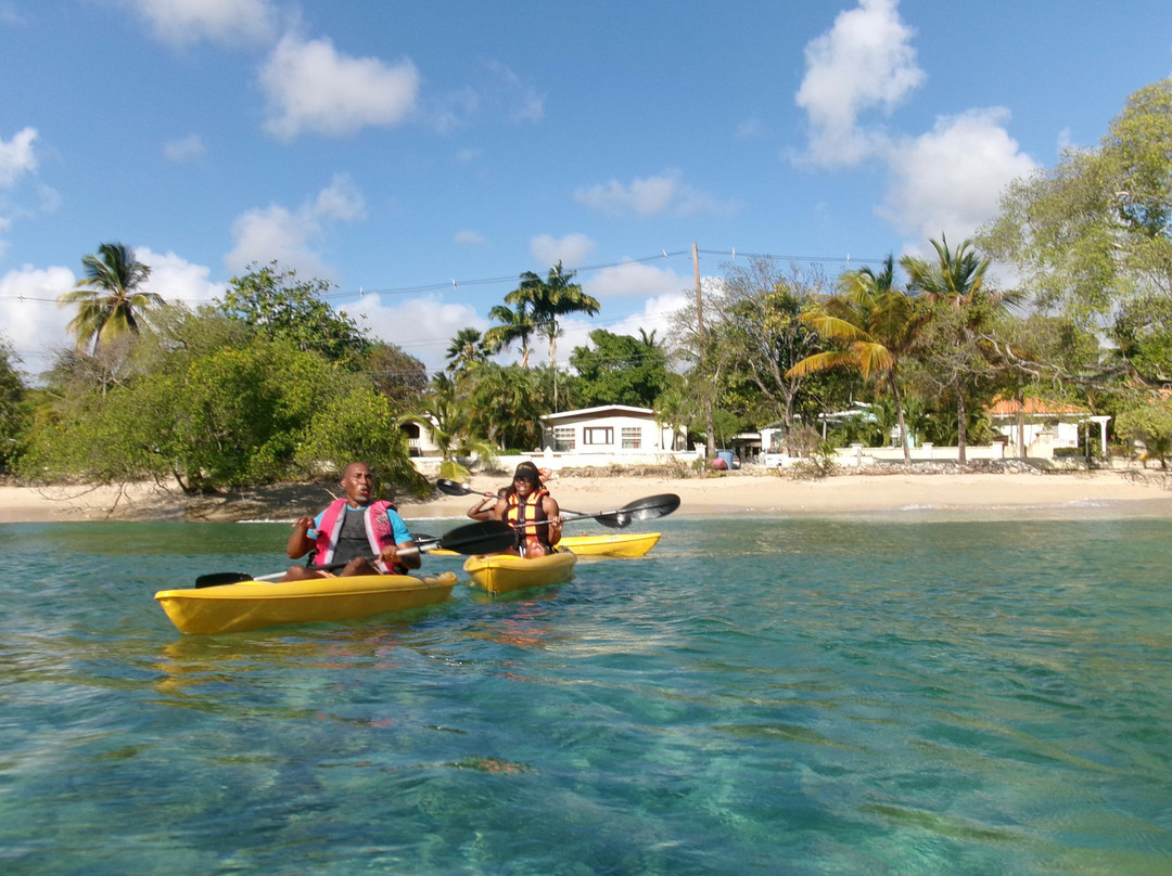 Kayaking Barbados-Saint Lucy Parish必去景点