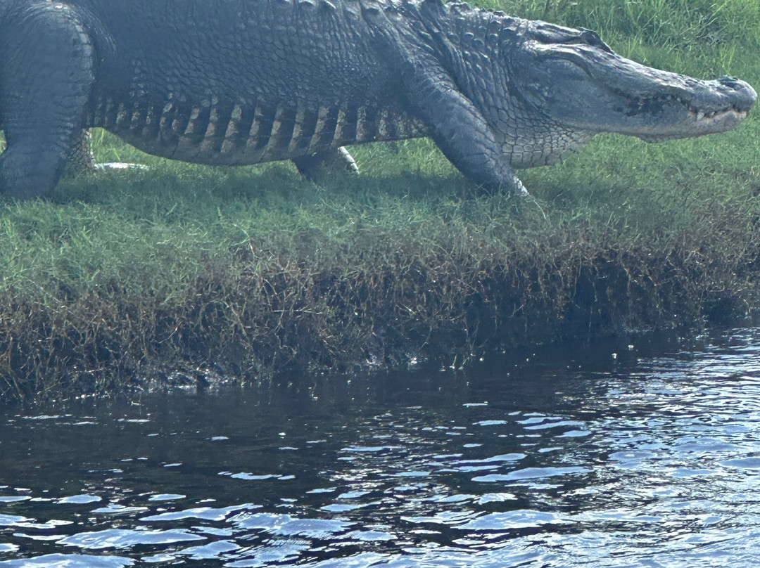 AirBoat Rides at Midway-Christmas必去景点