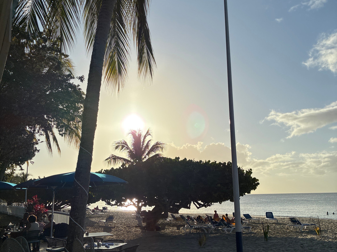 Grand Anse Beach-South Coast必去景点
