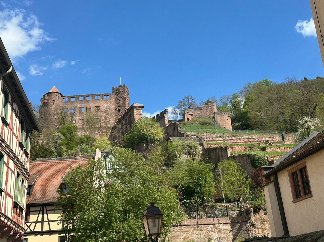 Burg Wertheim-沃特海姆必去景点