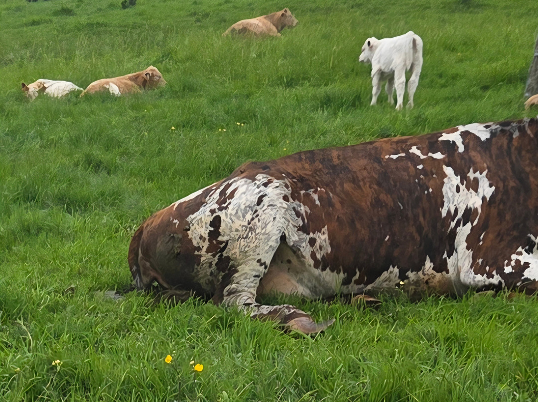 Ferme Pédagogique du Lieu Roussel