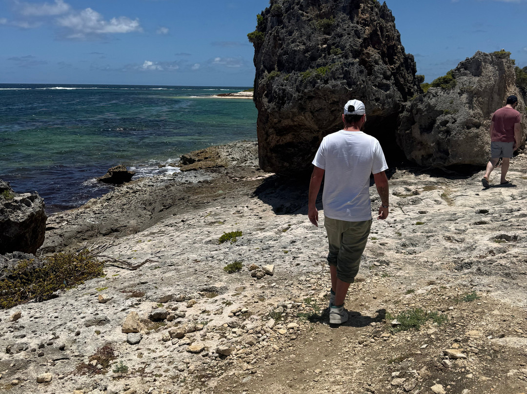 Hillside Tours Barbuda-Codrington必去景点
