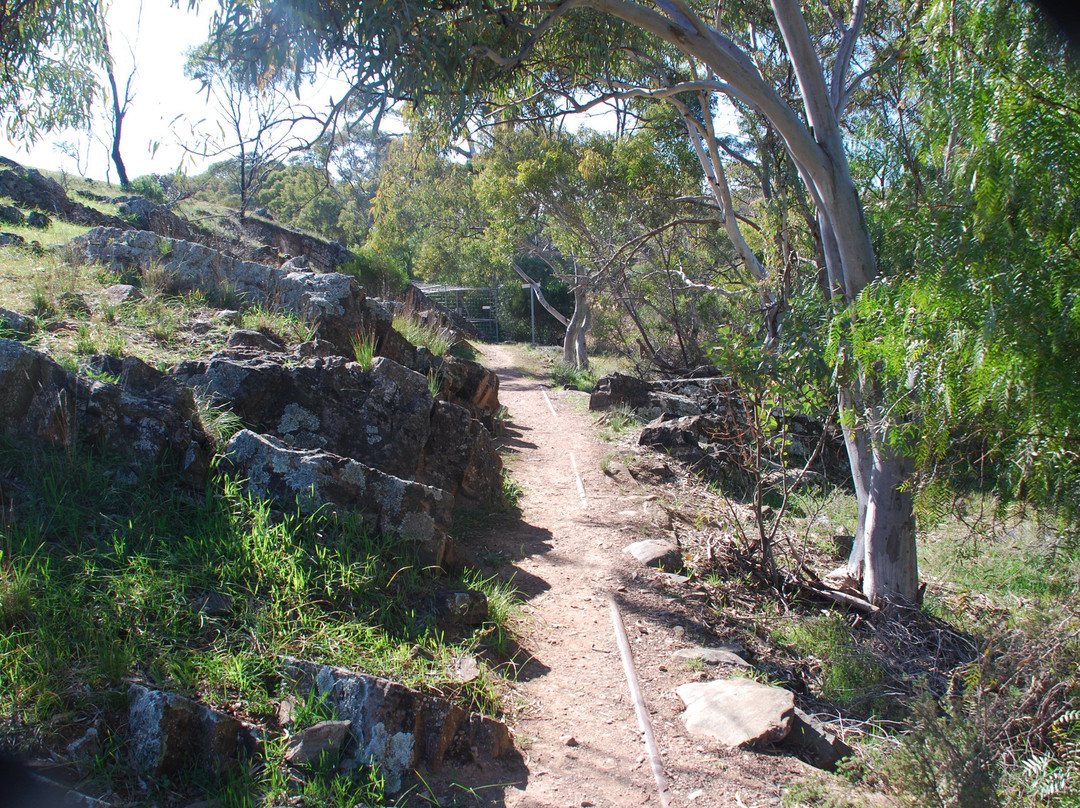 Pekina Creek Walking Trail-Orroroo必去景点