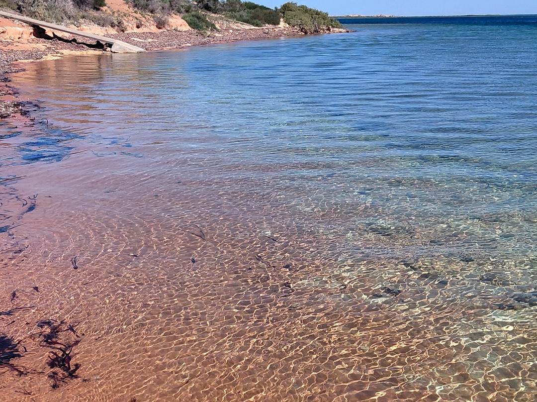 Shark Bay Coastal Tours-德纳姆必去景点