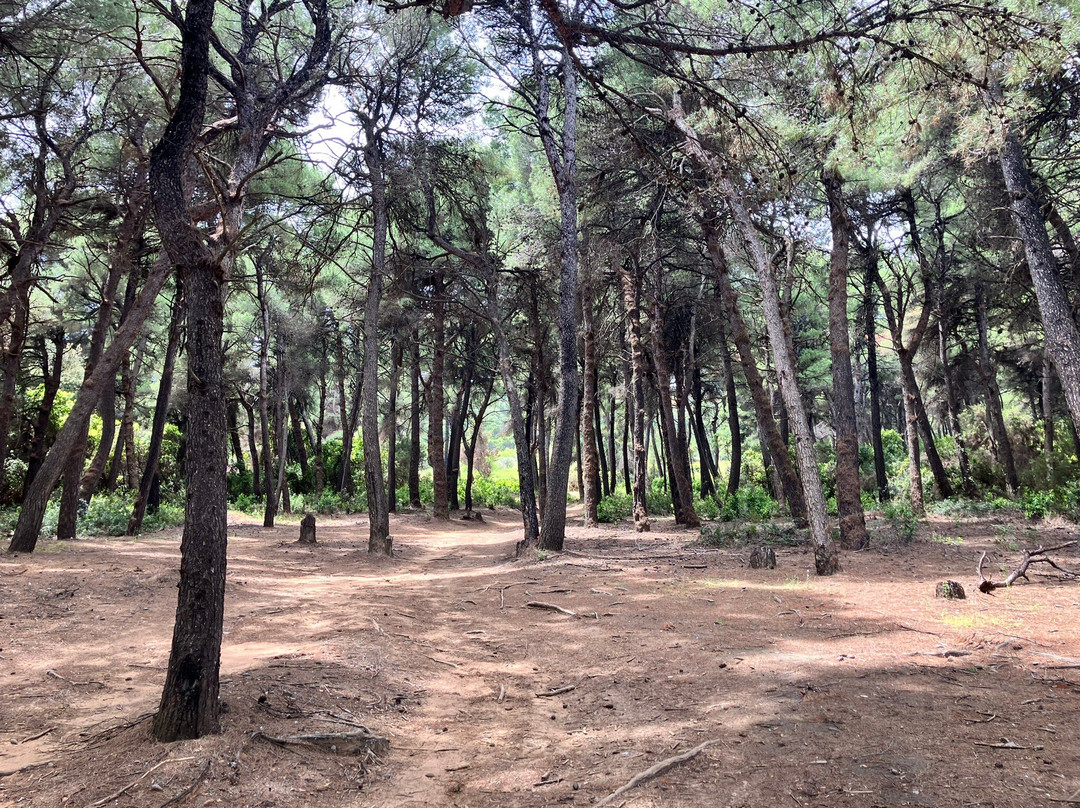 Mandraki Beach-斯亚索斯必去景点