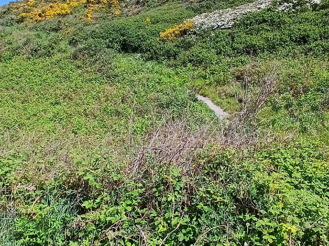 Ceredigion Coast Path-阿伯里斯特威斯必去景点