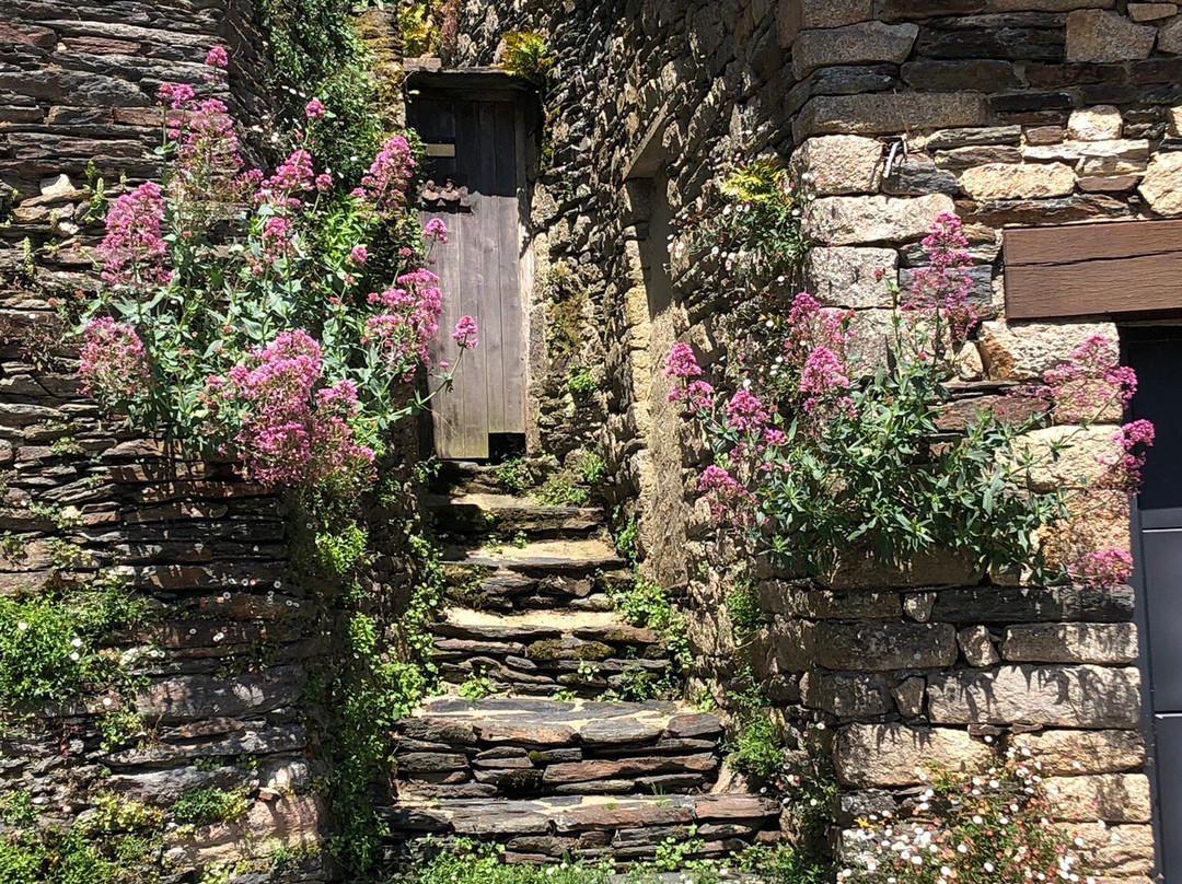 Château de Rochefort-en-Terre-莲蓬头必去景点