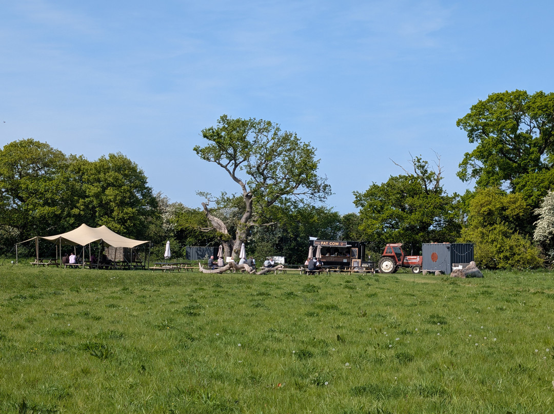 Fat Cow Burgers, Fakenham