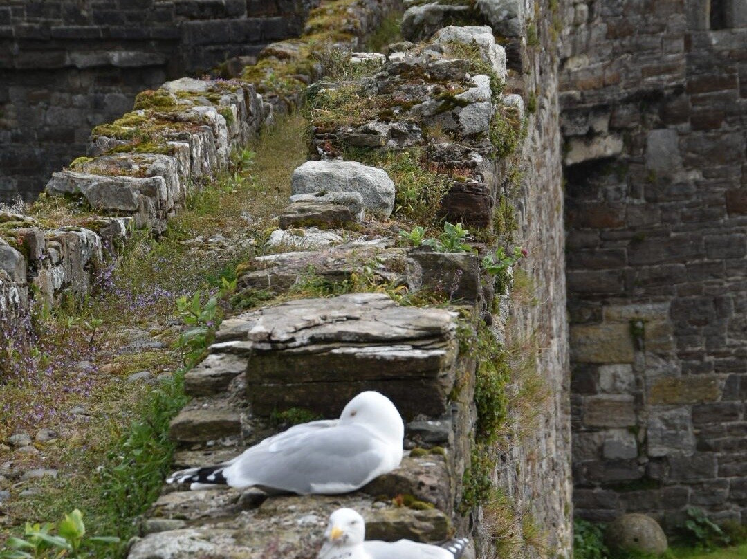 Beaumaris Castle-Beaumaris必去景点