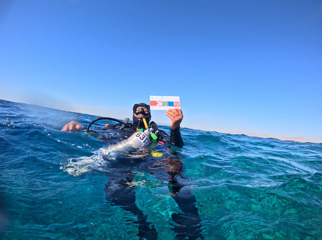 ORCA Dive Club Soma Bay-索马湾必去景点