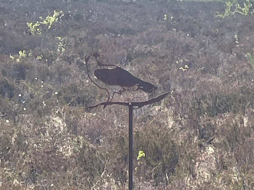 Foulshaw Moss Nature Reserve-肯德尔必去景点