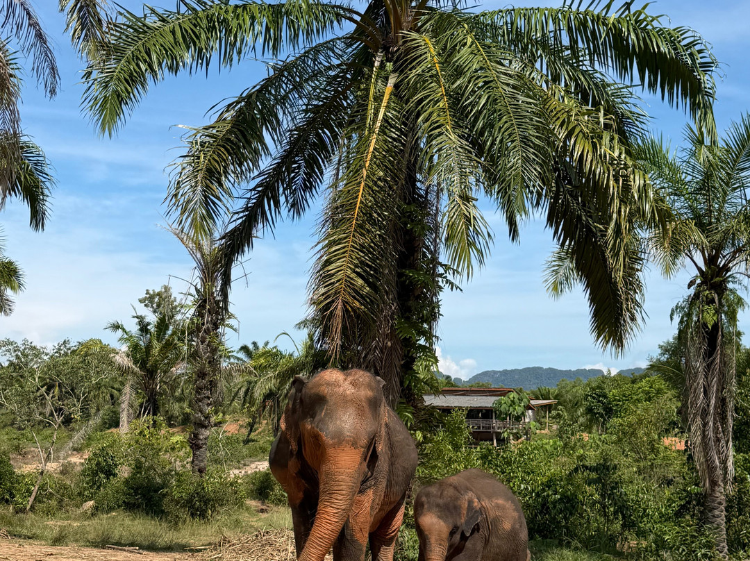 Following Giants - Krabi-Khlong Hin必去景点