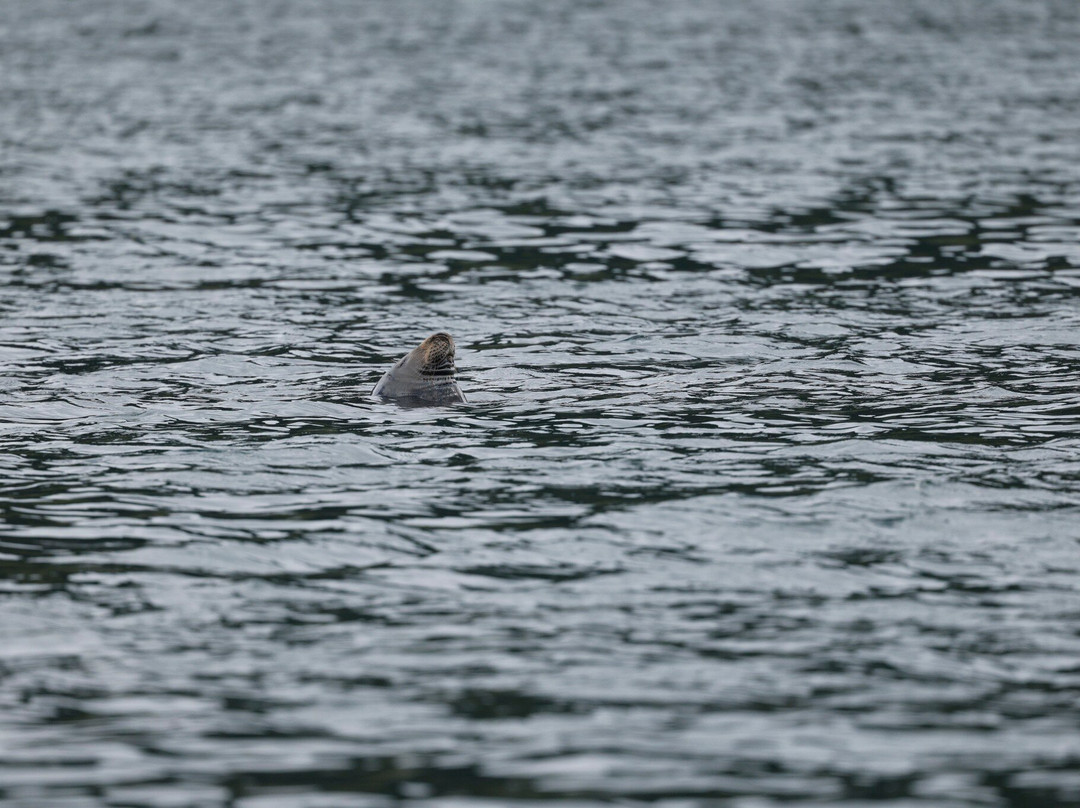 Loch Goil Cruisers-Lochgoilhead必去景点