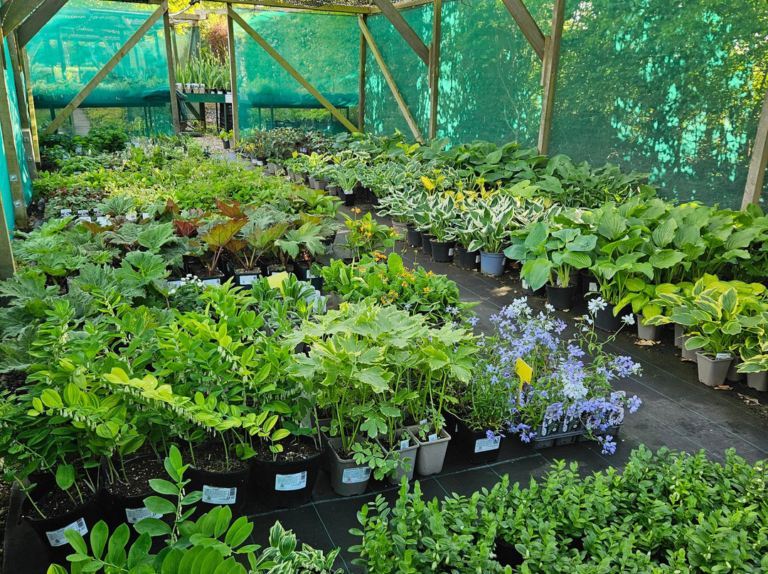 Langthorns Plantery-Little Canfield必去景点