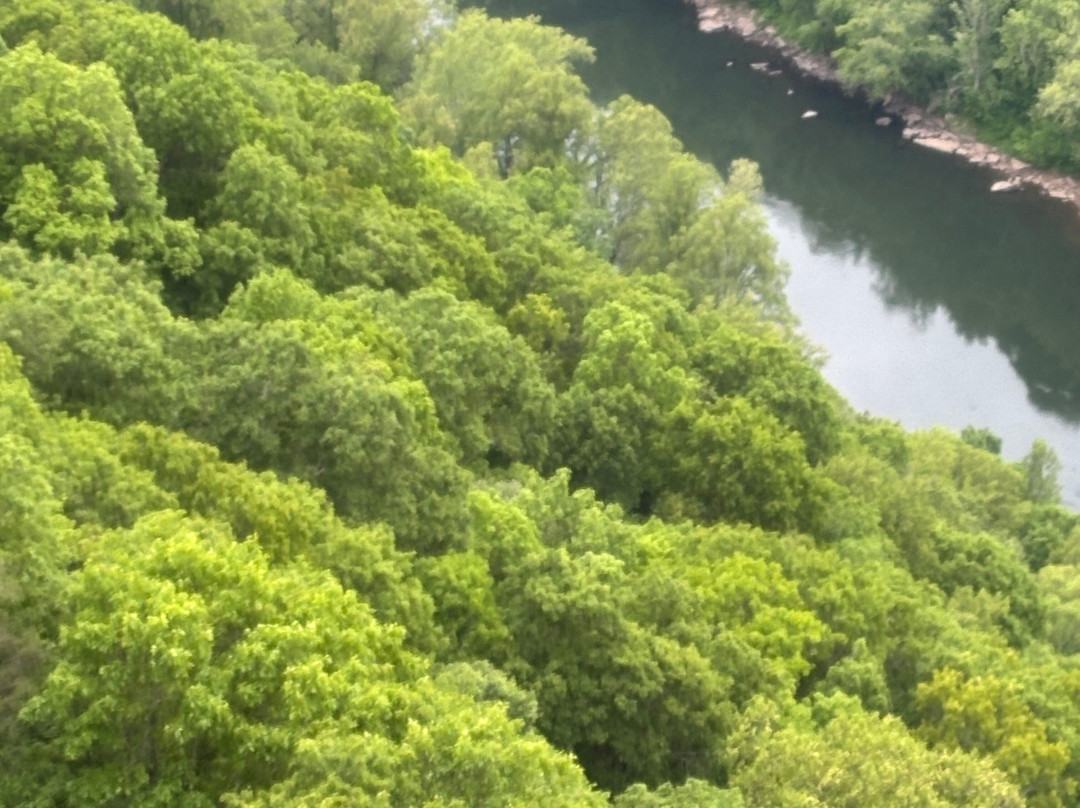 New River Gorge Bridge-Fayetteville必去景点