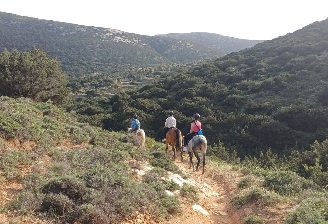 Sifnos Horseriding-锡弗诺斯岛必去景点